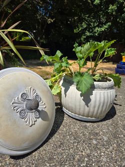 Two Garden Planters or Garden Hose Bowl with Lid