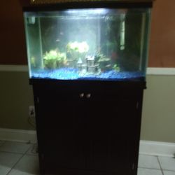 29 Gallon Fish Tank 