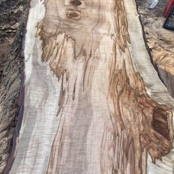 Stunning Bartop Or Countertop Silver Maple Live Edge Slabs