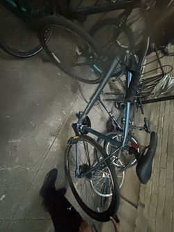 Adult bike