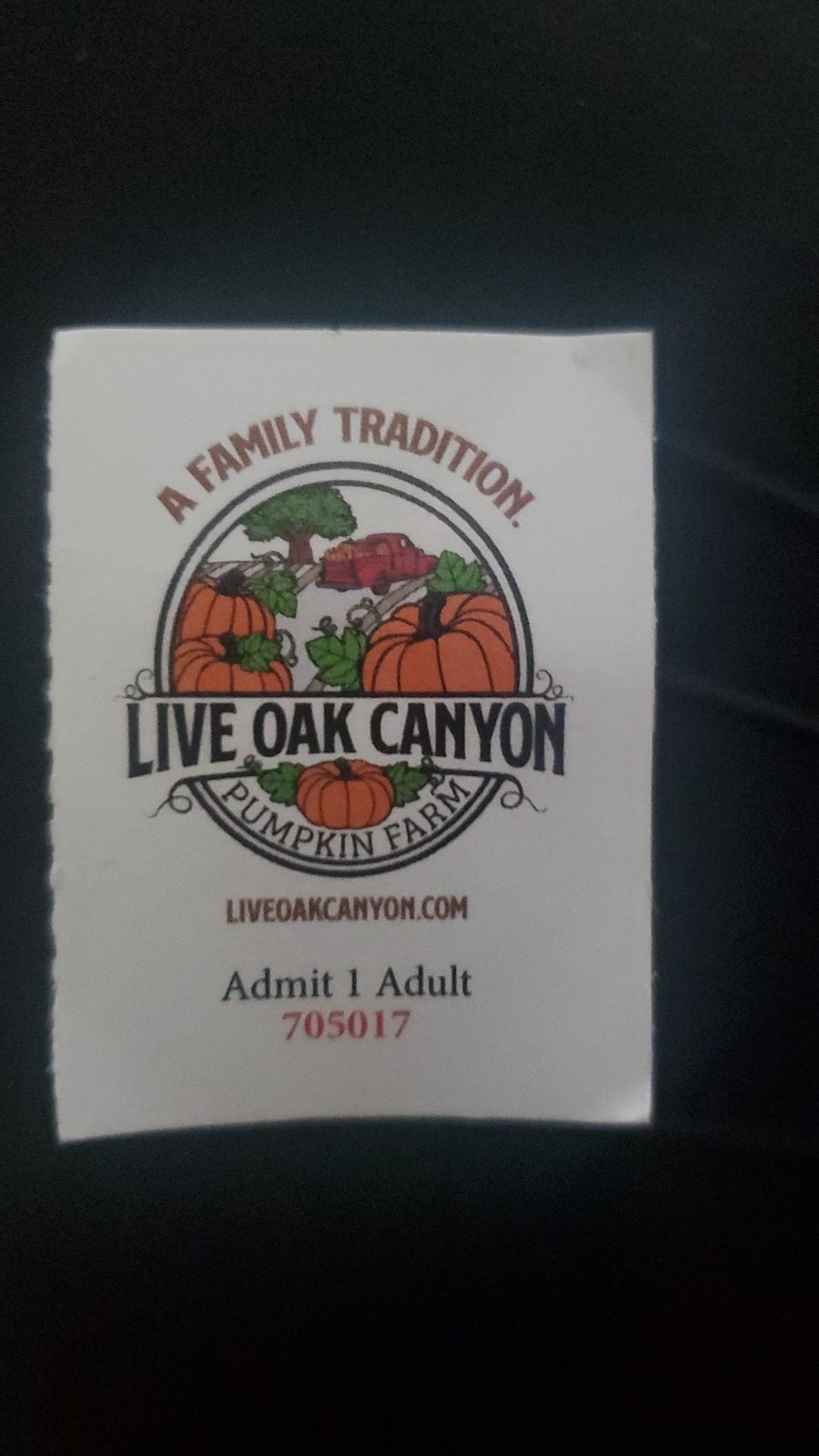 Live Oak pumpkin patch