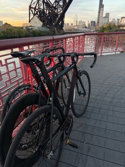 Aventon fixie