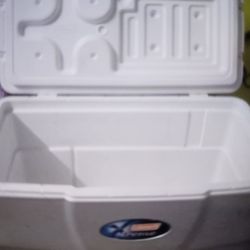Coleman Cooler