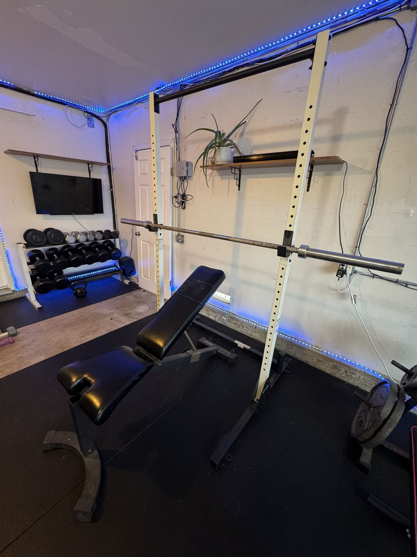 Squat Rack + Bench