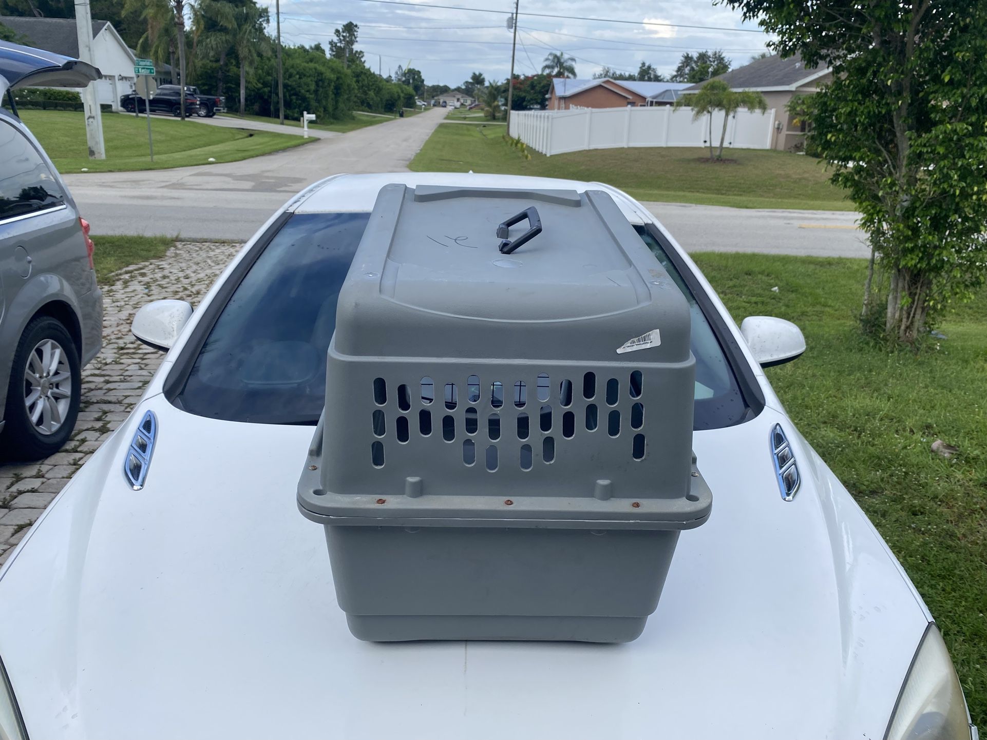 Dog Crate, Plastic Travel Pet