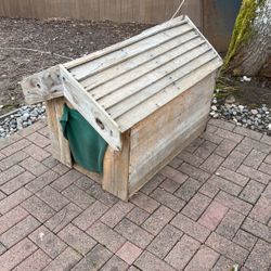 Dog House 