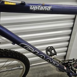 Giant Upland Mountain Bike