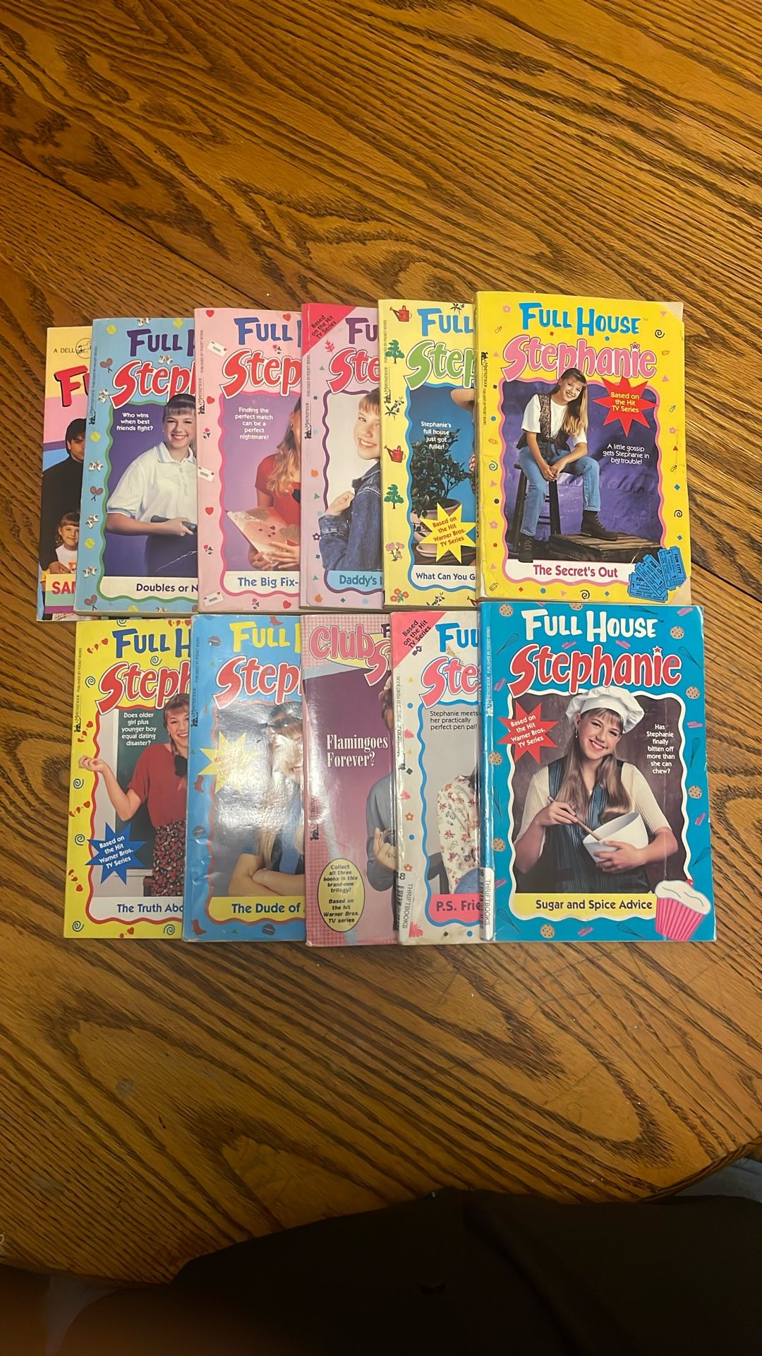 Full House Stephanie - Chapter Book Series