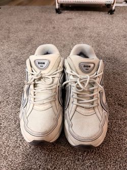 Dior B30 Sneakers White Gray