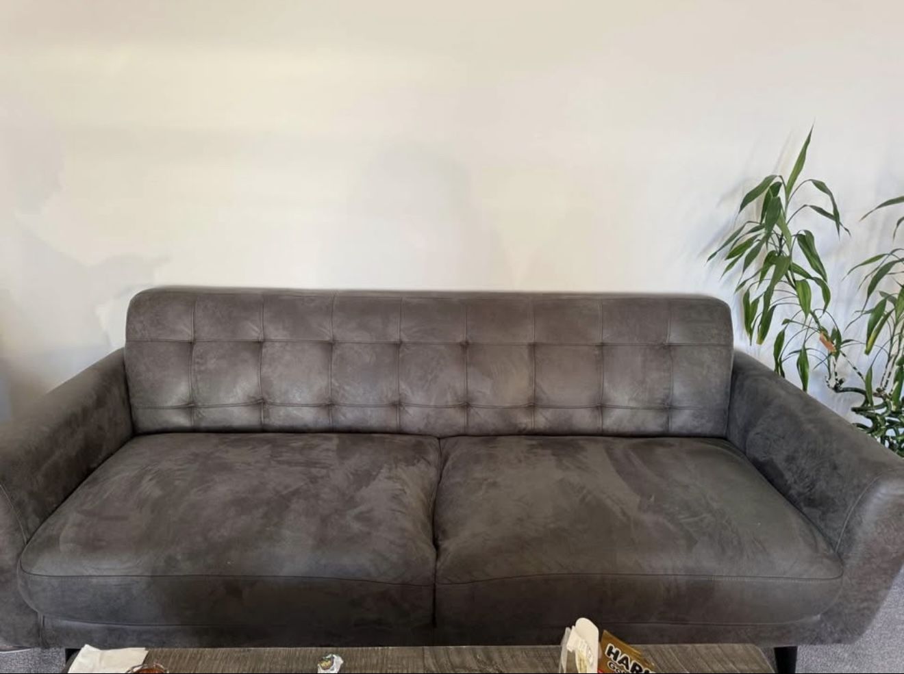 Gray Couch
