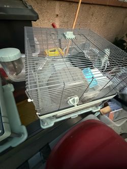 Hamster cage with accessories