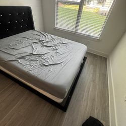 Queen Bed Frame