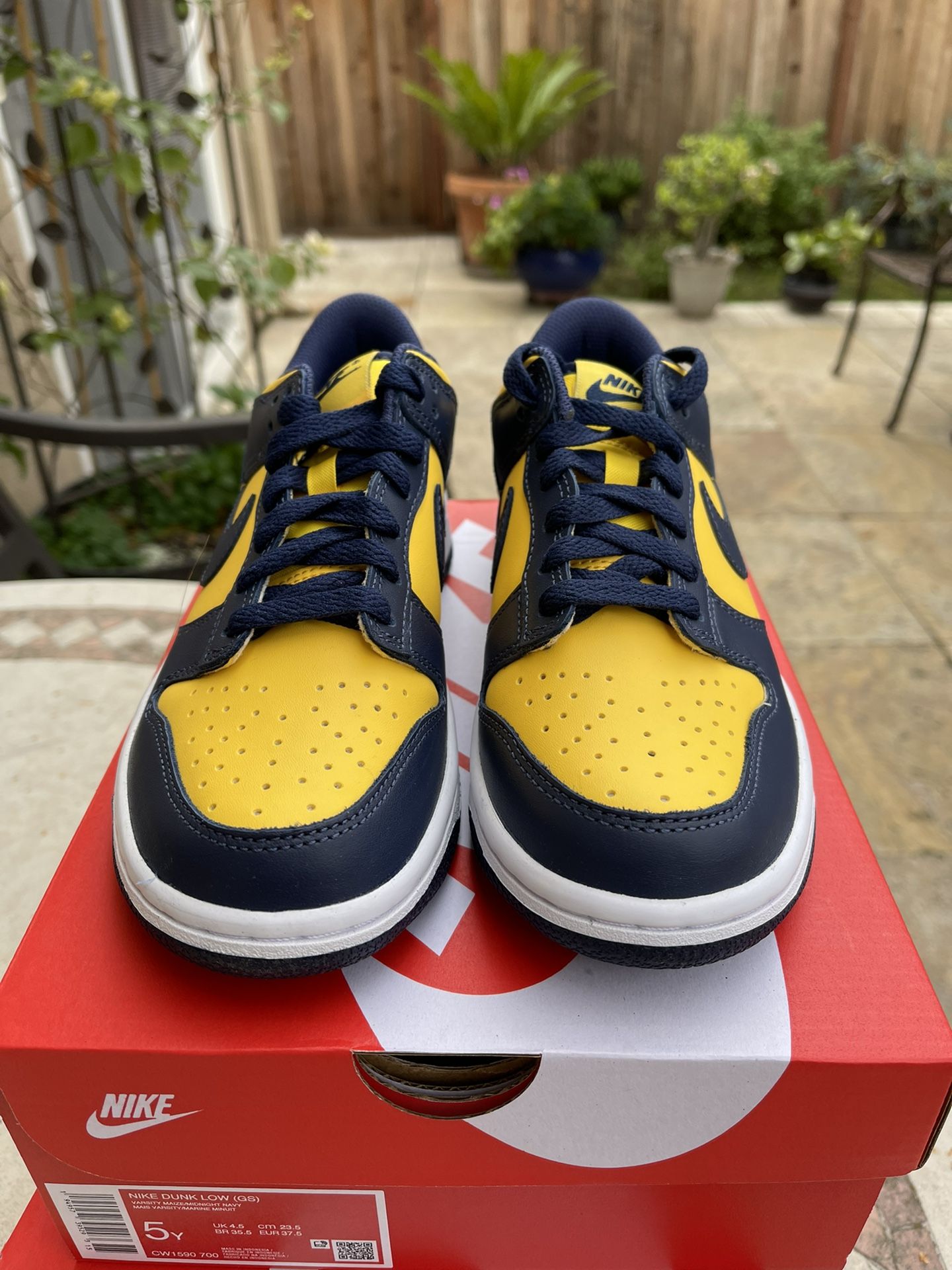 Nike Dunk Low 'Michigan' Varsity Maize Midnight Navy CW1590 700 GS