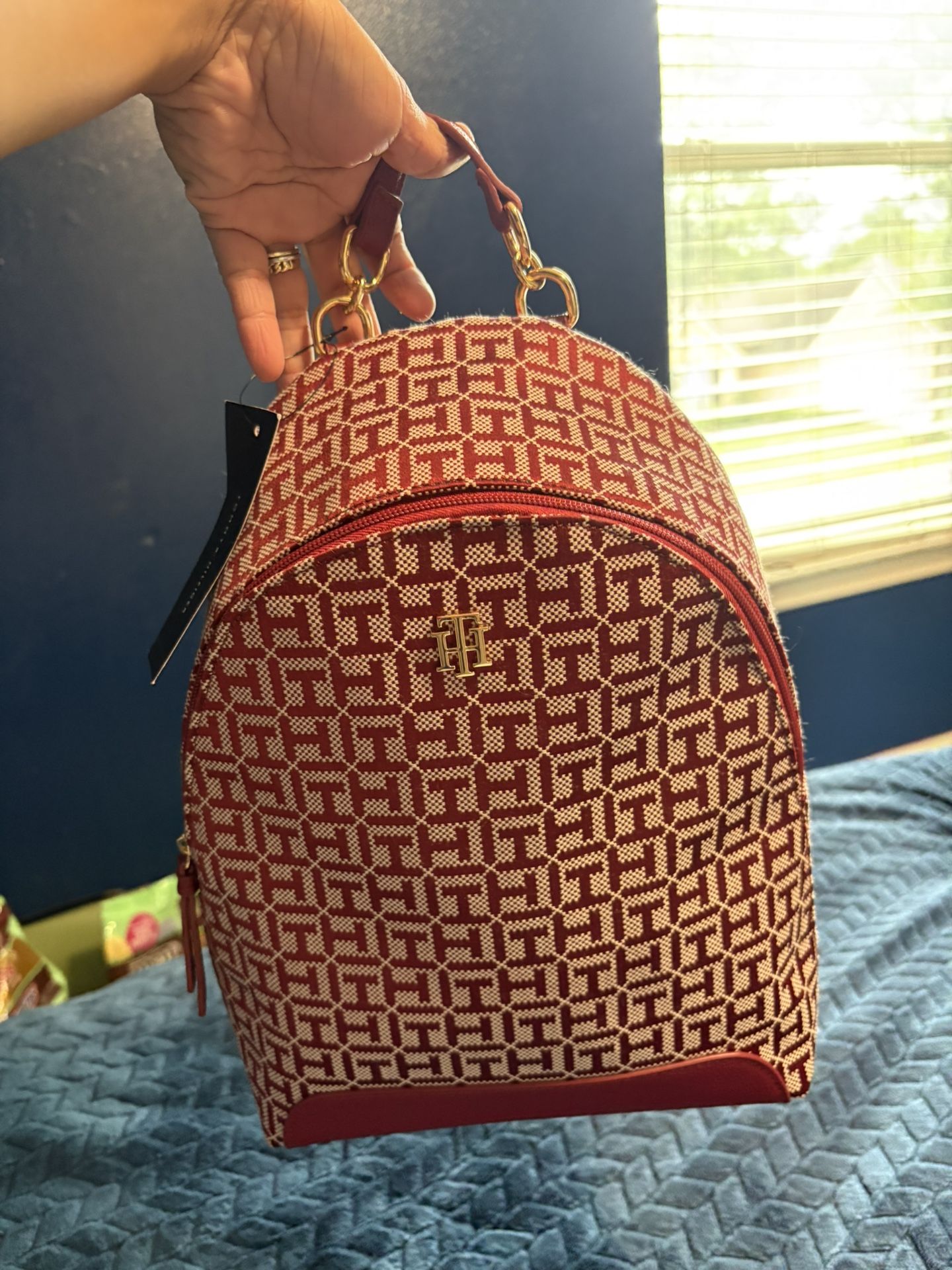 Tommy hilfiger Bagpack/carry Bag