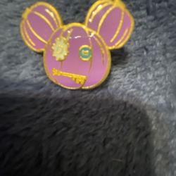 Disney Collectable Pin