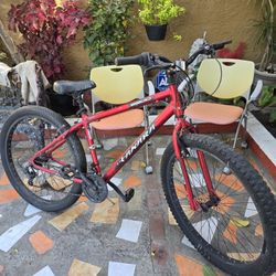 29" Takamara Mountain Bike 21-Speed 
