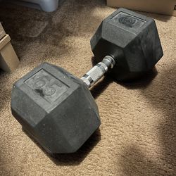 65 lb Dumbbell Weight  Pair 