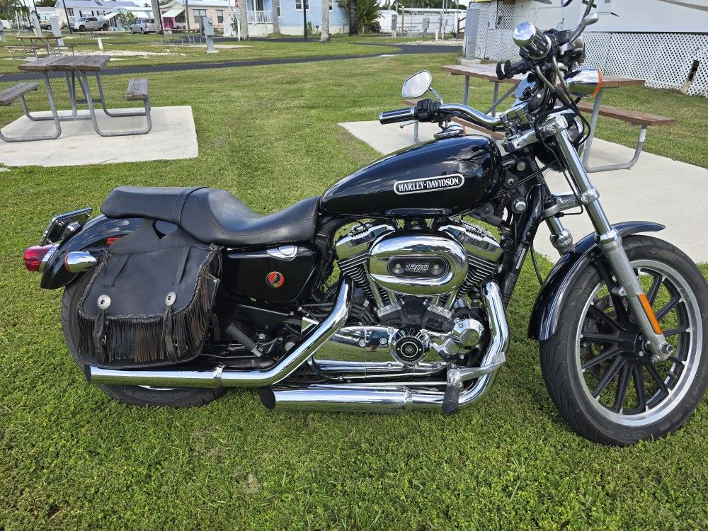 2008 Harley Davidson Sportster Low 1200