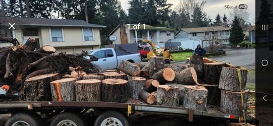 Firewood Rounds 100 A Cord Delivered