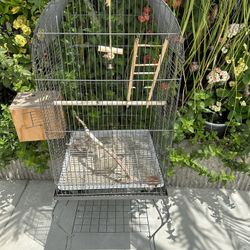 Bird Cage 