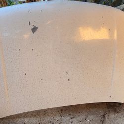 99-06 Yukon DENALI hood