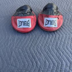 Boxing Training Punch Mitts 