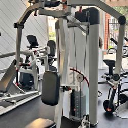 Body Solid Pec Fly & Rear Delt Machine