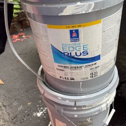 Edge Plus Paint 
