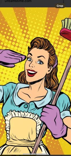 If you need in home aka residential cleaning or business cleaning done , then I’m your girl! We will clean daily weekly biweekly monthly emergency cle