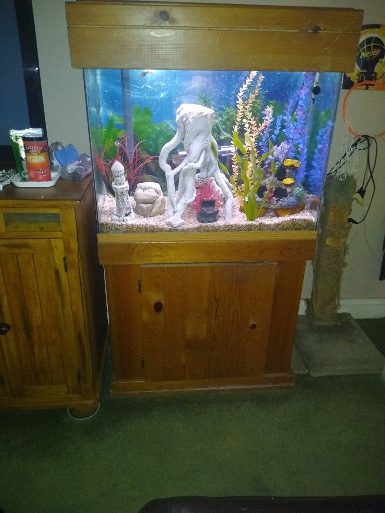 37 Gallon Fish Tank And Stand (Decorations, Gravel & Filter Not Included)
