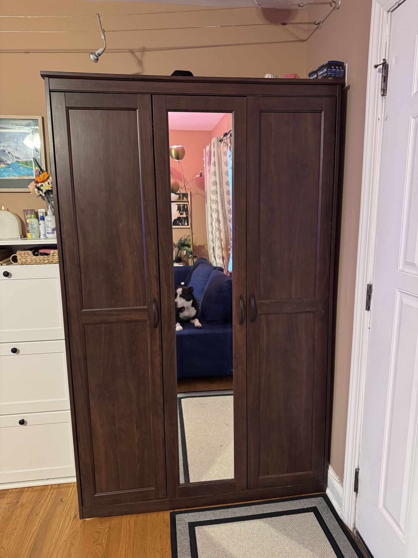 IKEA Songesand Wardrobe