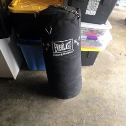 Punching Bag 
