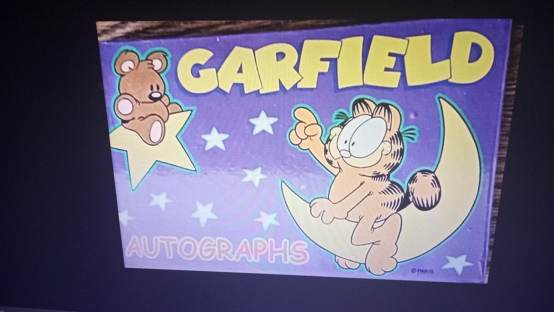 Garfield the cat autograph book