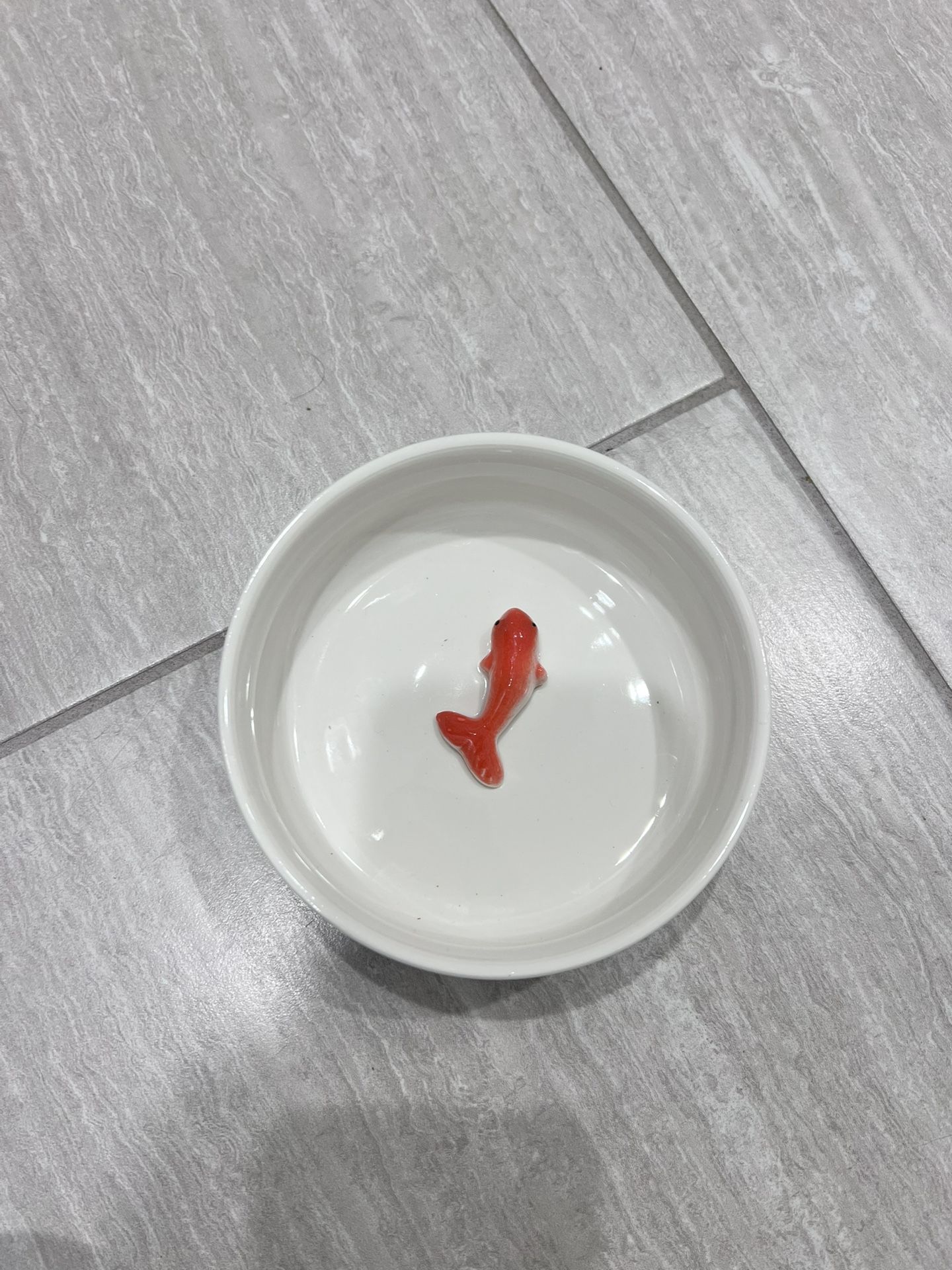 Pet Bowl Goldfish design