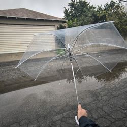 Clear Umbrellas For Parties, Events, Weddings 30 Count