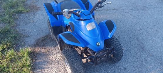 Eton youth atv 40cc 2 stroke 4 wheeler