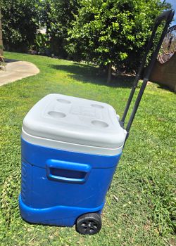 Igloo Cooler