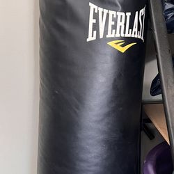 Everlast Power Core Hanging Punching Bag