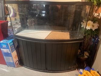 72 bow front w/ stand