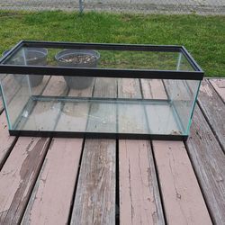 20 Gallon Long fish tank for Sale in South Norfolk, VA - OfferUp