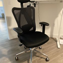 Ergonomic Mesh Comupter Chair