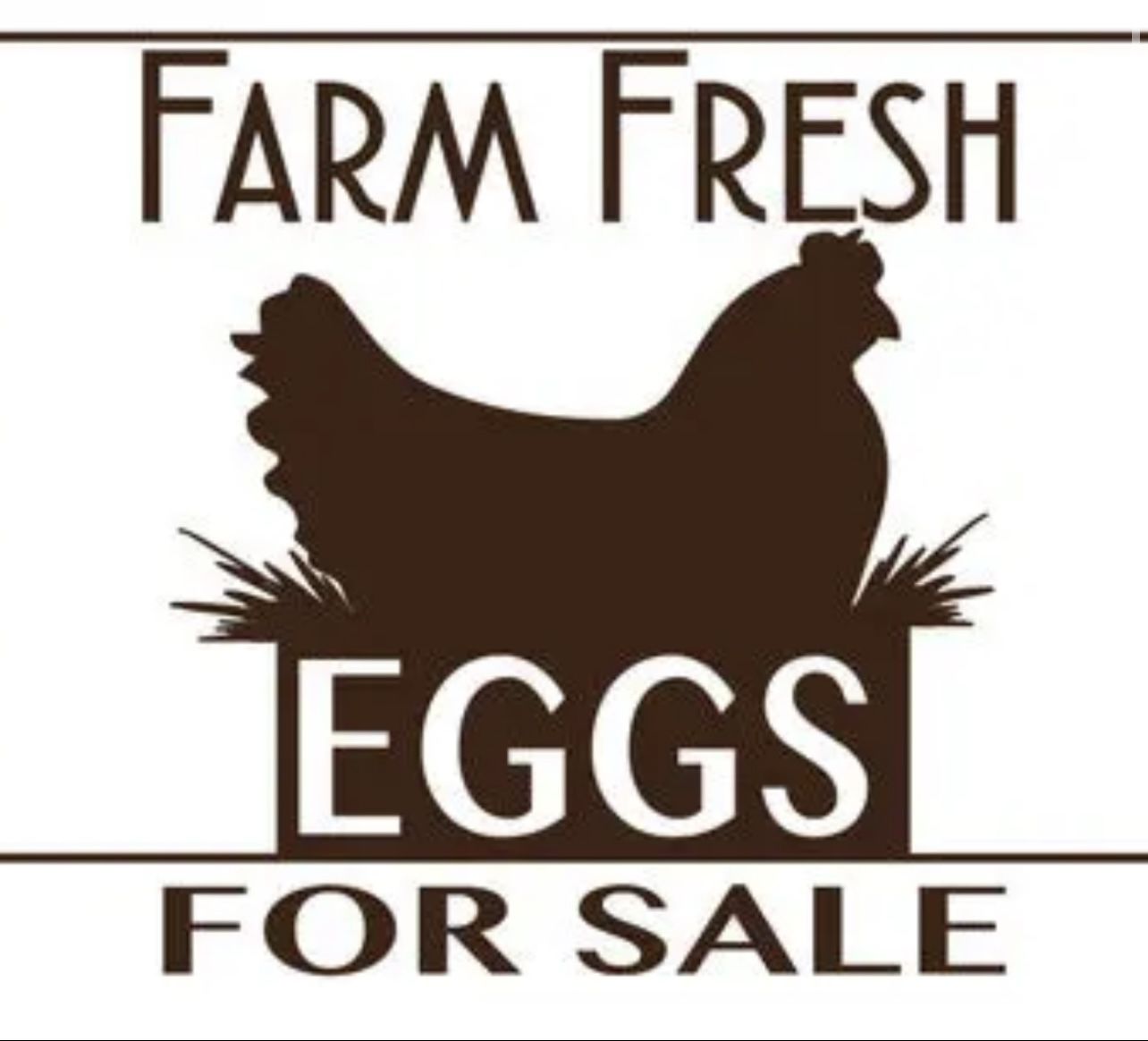 Fresh eggs