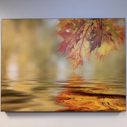 Autumn Leaf Reflection Wall Art