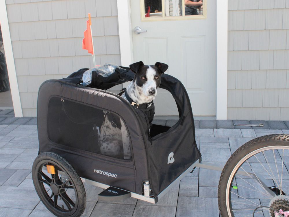 Retrospec Bike Trailer