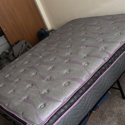 Queen 12 Inch Bed With Frame