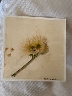 Make a Wish Dandelion pressed Watercolor Art Print - Cream and Green 6x6”