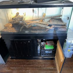 60 Gal Bearded Dragon Tank