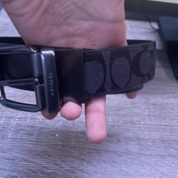 Coach Belt 