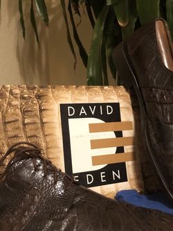 Alligator David Ellen Dress Shoe