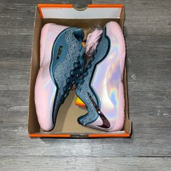 Nike LeBron Basketball Shoes 